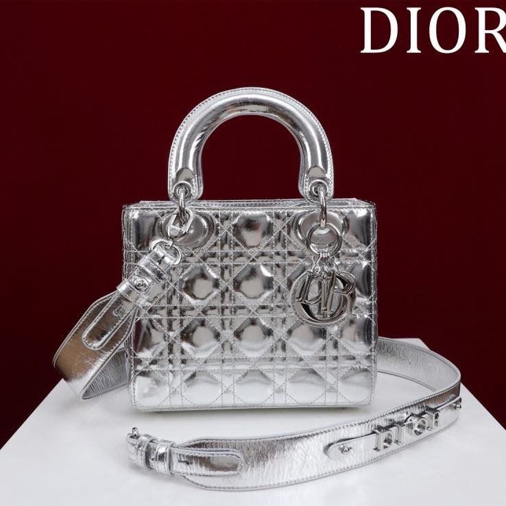 chr1st1an D10r my lady bags
